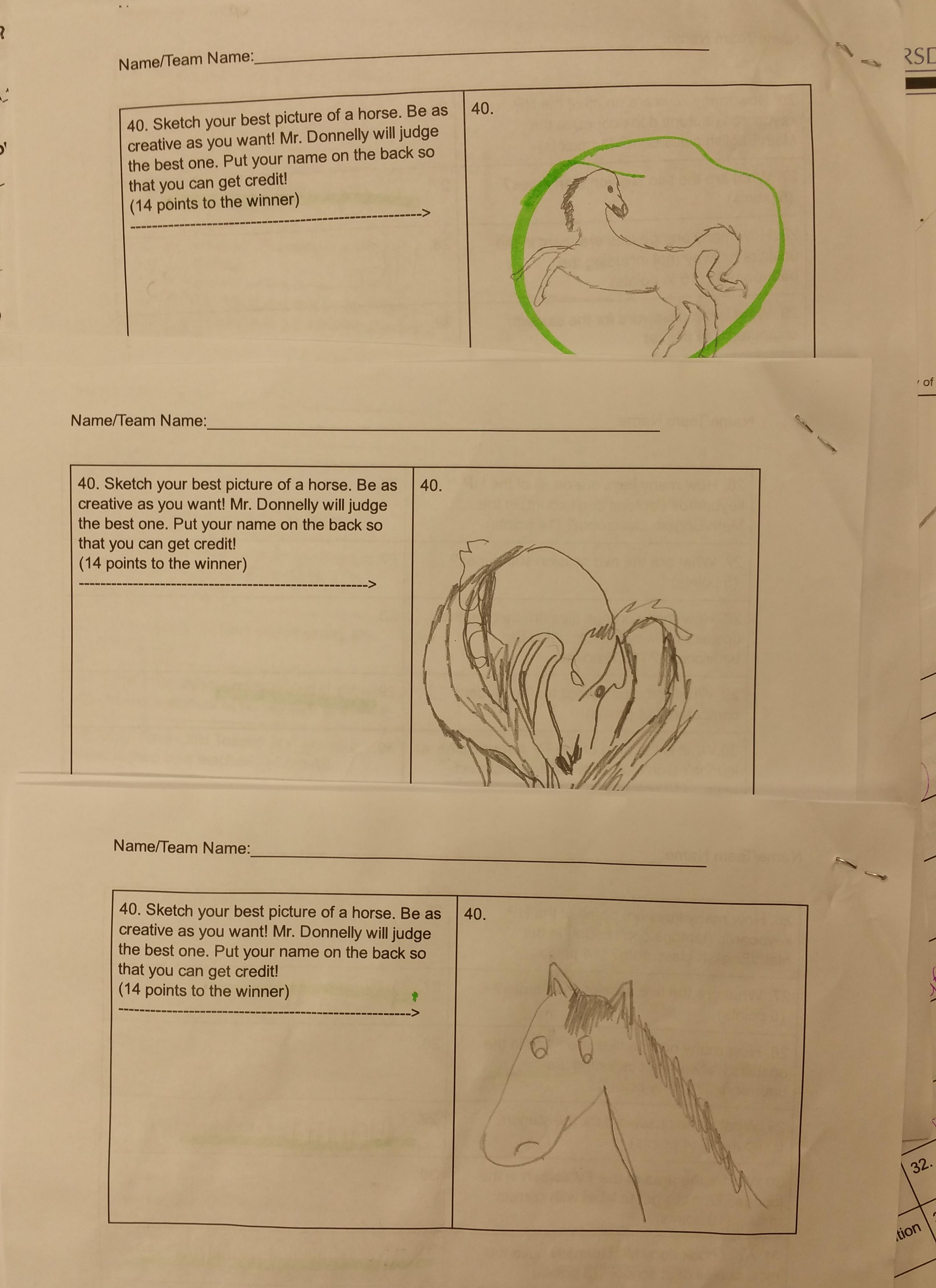 Students sketch horses